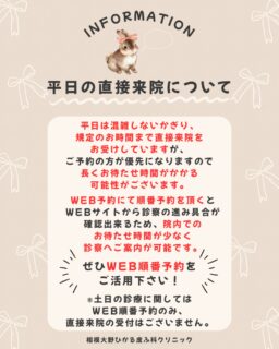 🐿️平日の直接来院についてのご案内💁♀️💭平日の規定時間内はご予約なしでの直接来院を承っていますが、お待たせ時間が長くかかる場合がございます。院内でのお待たせ時間を短縮出来る、WEB順番予約がおすすめです!是非ご活用下さい🪿🫧※土日の診察ではWEB順番予約が必須です。直接来院の受付は行っていませんので予めご了承ください🙇♀️✏️ぴか皮ふスタッフ投稿#相模大野ひかる皮ふ科クリニック #相模大野 #女医#相模大野駅 #皮ふ科 #皮膚科 #美容皮膚科 #小児皮膚科