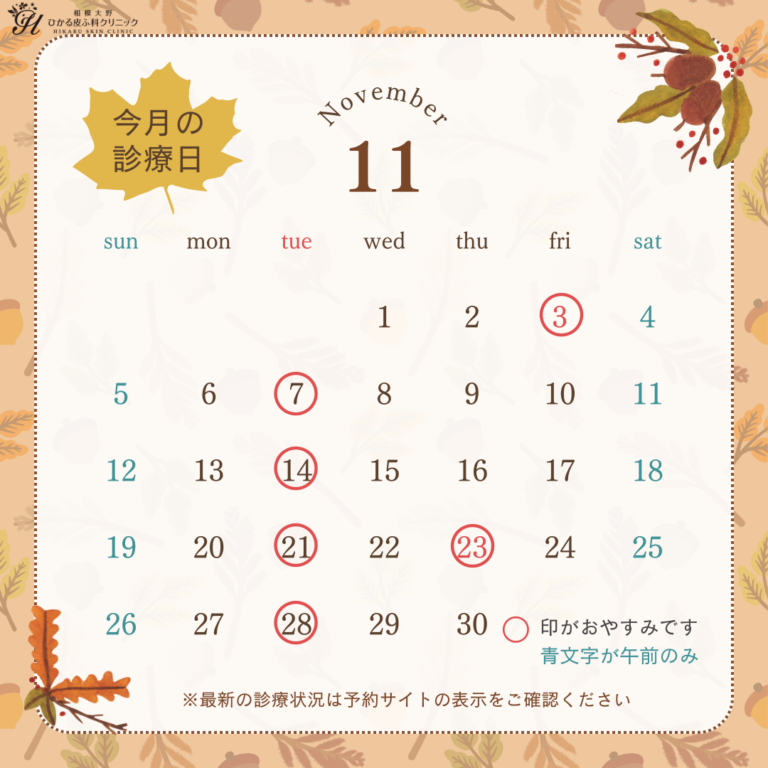 11月の診療予定表